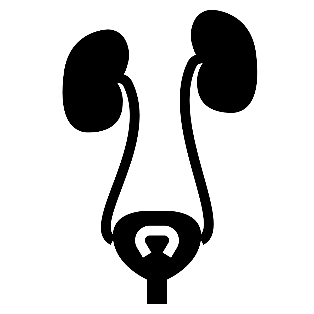 noun urinary