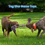 XL Dog Rope Toys for Large Aggressive Chewers – 2-Pack Durable Cotton Ropes