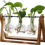 XXXFLOWER 3-Bulb Plant Terrarium with Wooden Stand – Retro Glass Vase and Metal Swivel Holder for Hydroponic Plant Décor