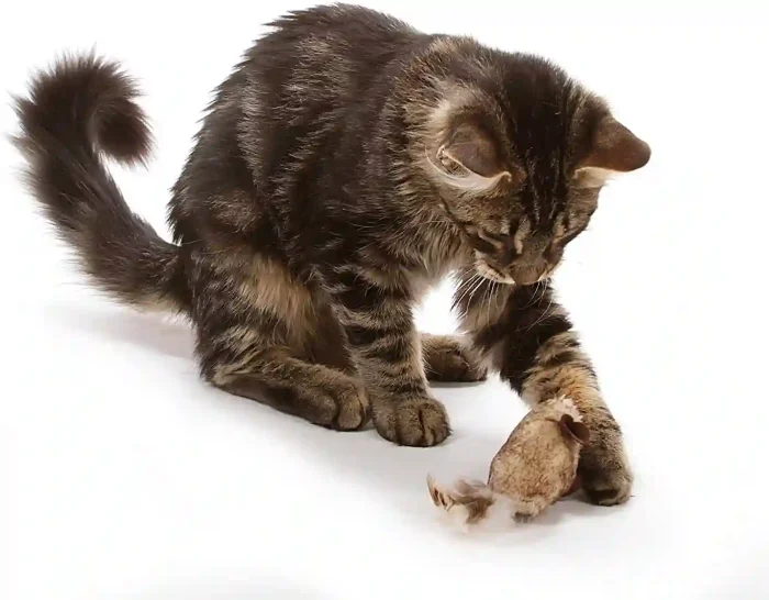 OurPets Play-N-Squeak Twice the Mice Cat Toy with RealMouse Sound and Catnip