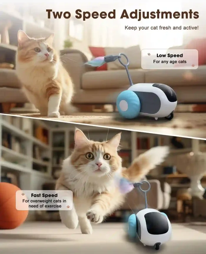 Smart Interactive Cat Toy with Remote Control for Indoor Cats