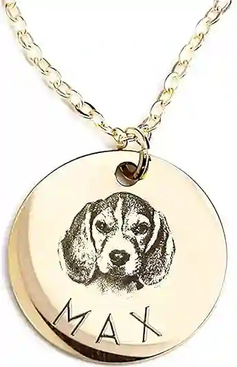 Custom pet portrait necklace with gold-plated stainless steel chain, featuring engraved pet face and name.