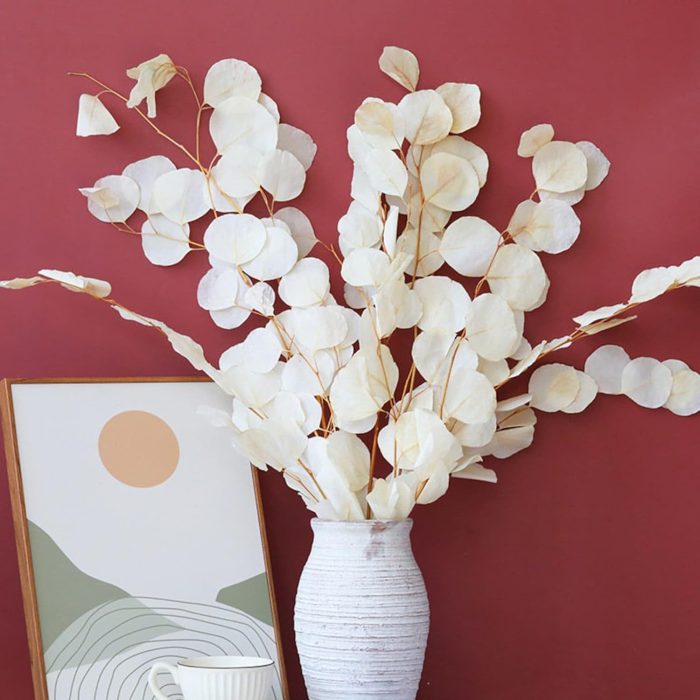 10 PCS creamy white dried eucalyptus stems for vase, boho decor, and DIY crafts.