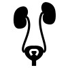 noun urinary